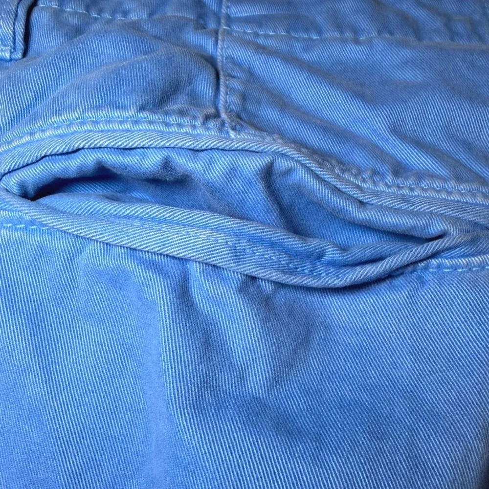 American Eagle Mens Size 34 Blue Chino Shorts Flat Front Casual Vacation Classic